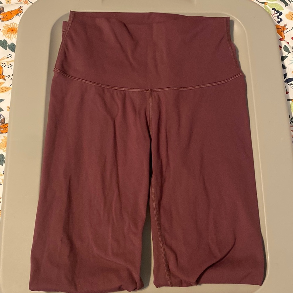 Paragon Fitwear Best Friend Legging in Fig US Medium